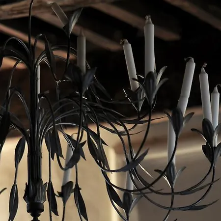 Chateau De Mayragues Casa vacanze Castelnau-de-Montmiral