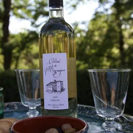 بيت للعطل Chateau De Mayragues *