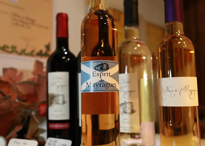 Château De Mayragues Casa de Férias Castelnau-de-Montmiral