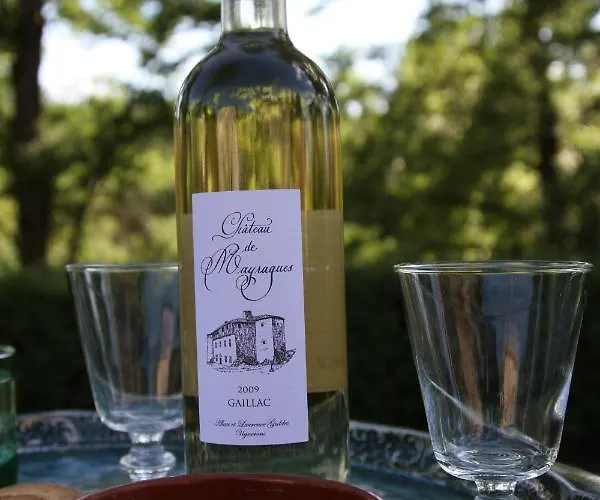 Casa de Férias Château De Mayragues *