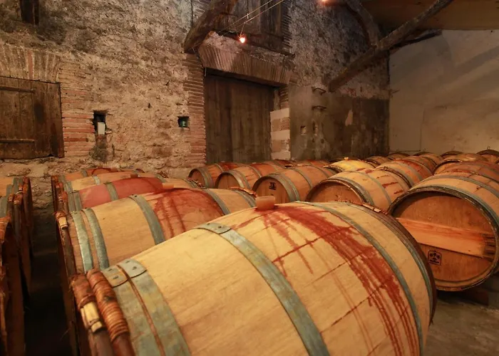 Casa de Férias Château De Mayragues Castelnau-de-Montmiral