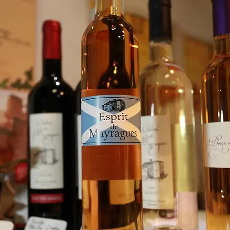 Chateau De Mayragues Сasa de vacaciones Castelnau-de-Montmiral