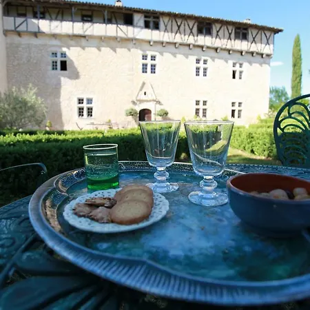 Ferienhaus Chateau De Mayragues *
