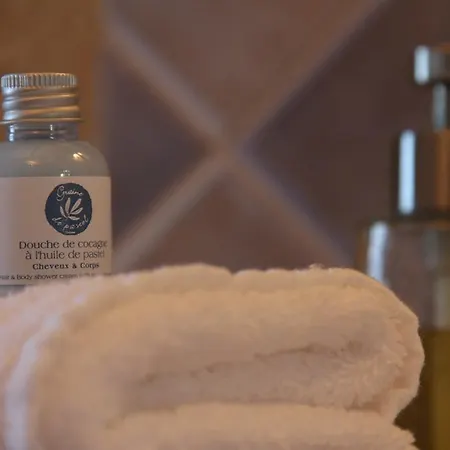 Сasa de vacaciones Chateau De Mayragues Castelnau-de-Montmiral