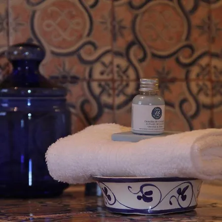 Chateau De Mayragues *