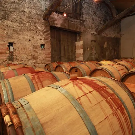 Сasa de vacaciones Chateau De Mayragues Castelnau-de-Montmiral