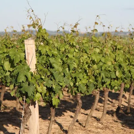 Сasa de vacaciones Chateau De Mayragues *